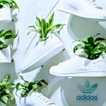 Adidas' Plant-Based Mycelium Leather Shoes Will Be Unveiled This Year