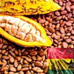 Ghana Produces The Highest Volume Of Cocoa Beans In History