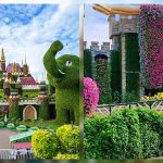 Dubai's Miracle Garden: The Biggest In The World