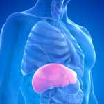 Many People Are Carrying Liver Diseases Without Knowing In Ghana